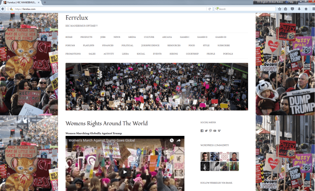 🧚🏼2017 Global Women’s Rights Marches🥁