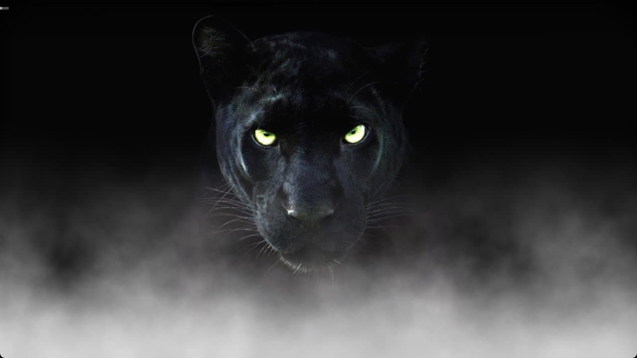 โ๏ธ A Proud Boyโs Sentence ๐๏ธ